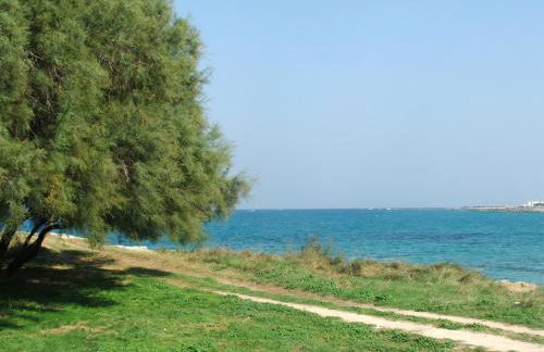 SaMi house - fronte mare del Salento - Foto 34