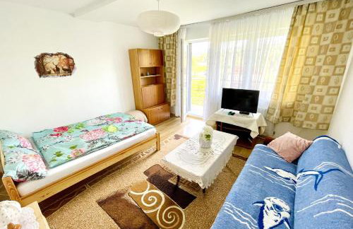 Przytulne Apartamenciki tuż przy Termach i Parku, nieopodal szlak na Turbacz, GPN, KGP - Foto 31