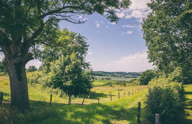 Cozy Bungalow Sauna Valkenburg - Photo 16