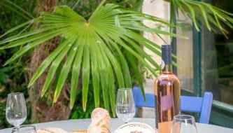 5 Family Apartments with Pool & Large Garden in Historic Pézenas Convent - Foto 4, Garden