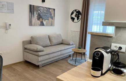 Apartment Komljenovic - Photo 58