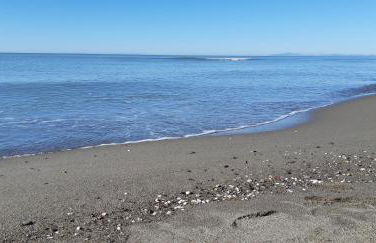 Bio Agriturismo Le Giunchiglie - Foto 32