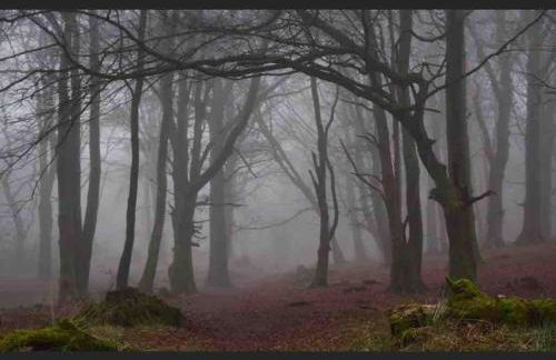 Fraoch, Pets welcome - Foto 31