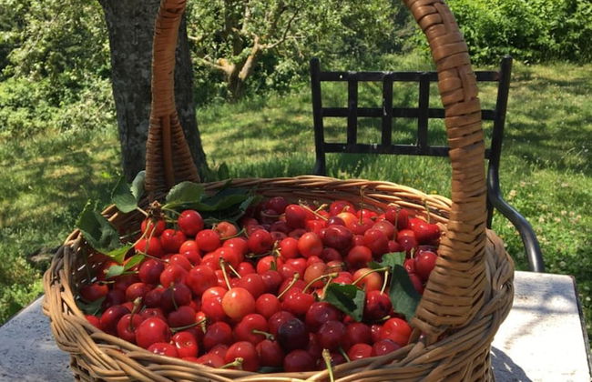 Agriturismo La Casina della Burraia - Photo 56