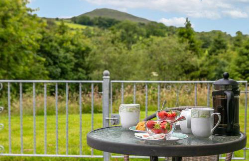 Plas Drygarn Ty Gwyrdd Crymych - Foto 17