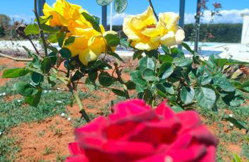 EcoVilla con piscina privata - Apulia Villas - Foto 20