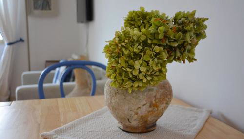 VILLA BIRIMIŠA LOPUD ISLAND - Foto 3