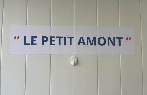 l’ Amont - Foto 14