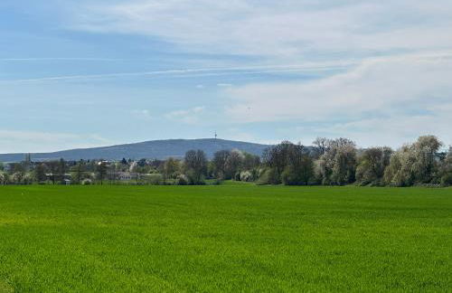 FeWo Zum Ritterorden - Foto 27