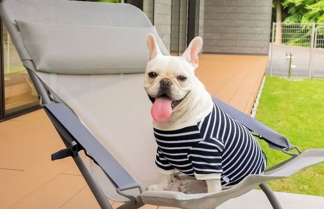 Rakuten STAY VILLA Aso Kurokawa - Foto 39