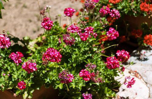 Villa Stella, with garden, five minutes from the beach - Foto 60