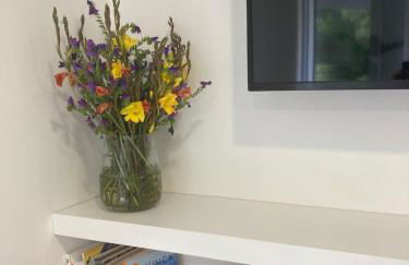 PLACIDO RIVER HOUSE APARTAMENTO - Foto 21