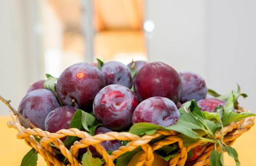 Monte das Texugueiras - Foto 20