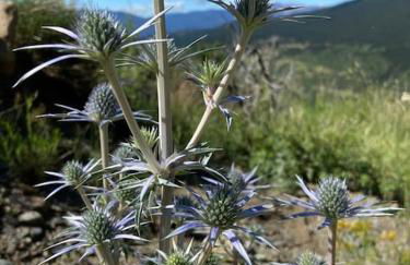 Idílico refugio de montaña ideal escapadas - Foto 32