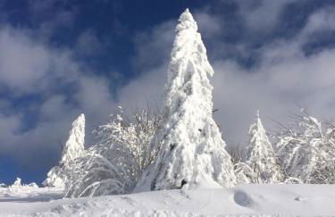 Chalet 10 pers sauna & SPA La tanière des Vosges - Foto 57