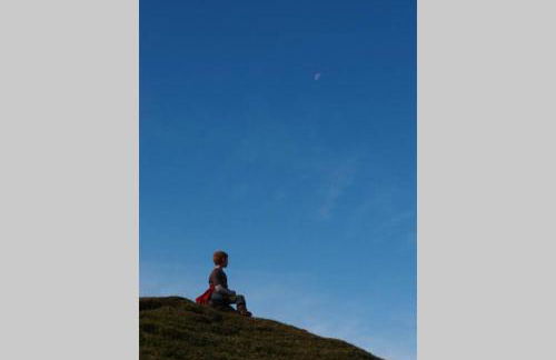 Upper Heath Farm - Stable Cottage Ludlow - Foto 40