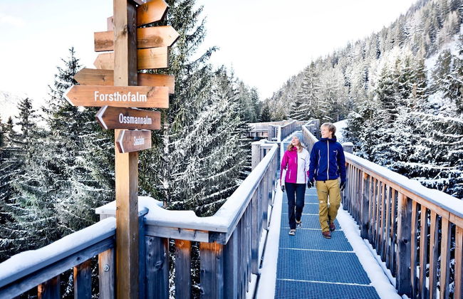 Beautiful Apartment in Viehhofen With hot tub - Foto 21