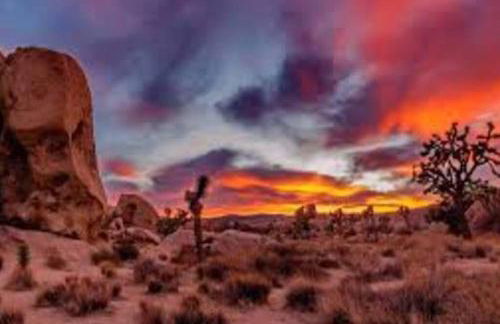 Joshua TreeYucca Valley Sunset Desert Retreat 6425 - Foto 7