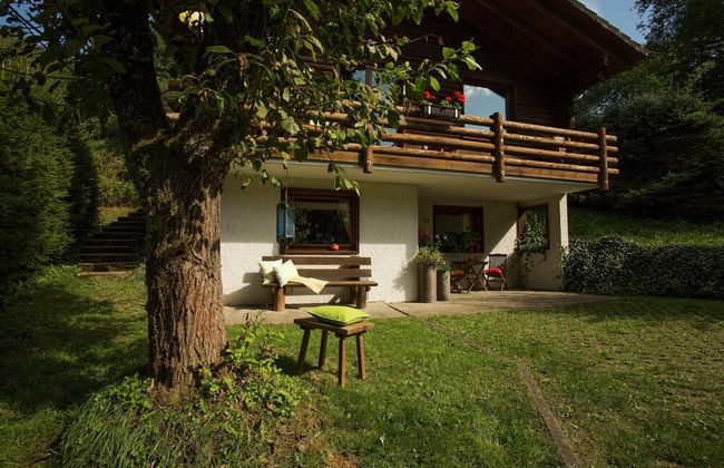 Chalet in Reinskopf With Fireplace & Balcony - Foto 20