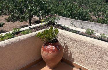 Pistachio House - Foto 28