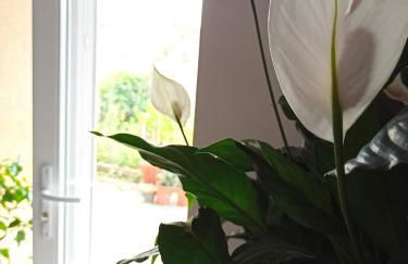 Villa Raphaël - Photo 13