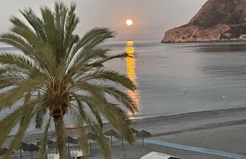 El SOL del SUR - Photo 39