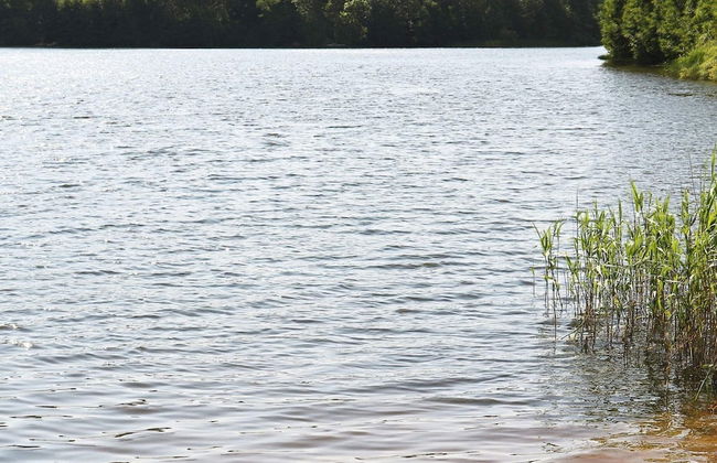 4 Person Holiday Home in Rolfstorp-by Traum - Foto 20