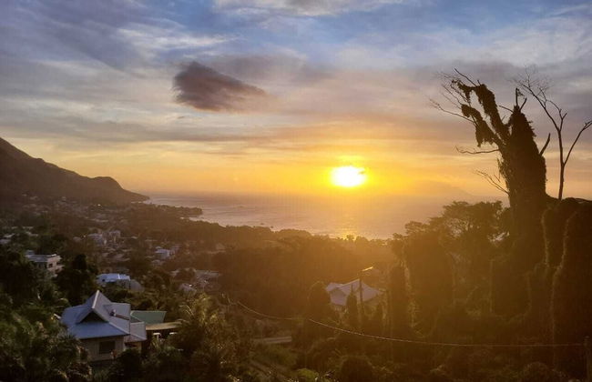 Wild Vanilla Apartment - Photo 1