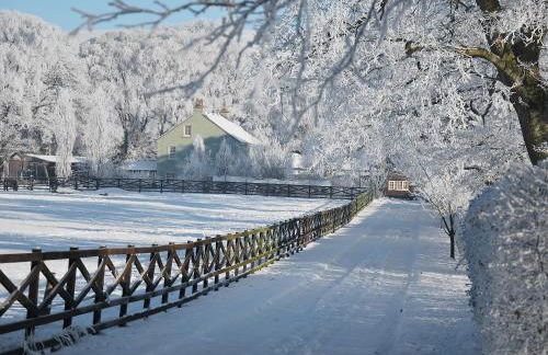 High Moor Cottage - Foto 15