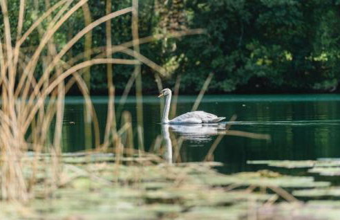 Beautiful Home In Gornji Zvecaj - Foto 55