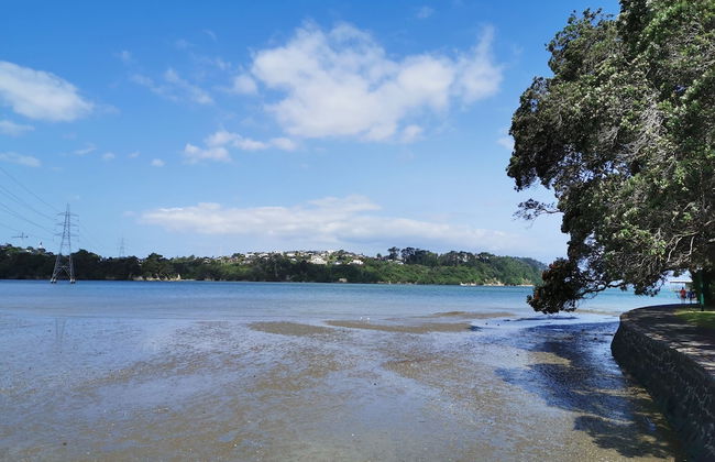 Brand New 5BR home with view of the sea - Photo 63