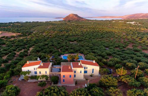 Olive Garden Houses - Photo 24