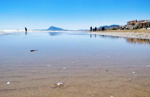 Hello Oliva Beach Alter - Photo 26