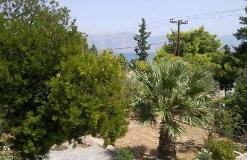 Elea Guesthouse - Photo 75