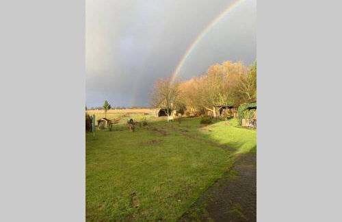 Ferienwohnung Schmidt - Foto 37