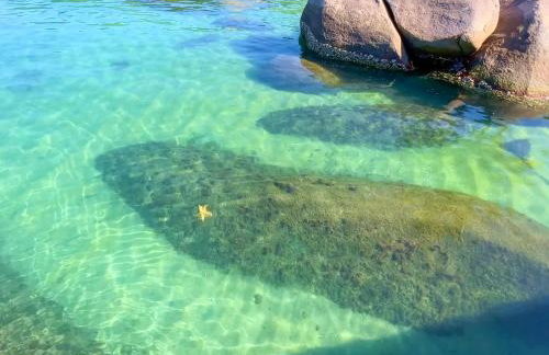 NOVO Mansão Pé na Areia com Heliponto, 1 Piscina, 1 Hidro, Sauna e 5 Quartos - Foto 29