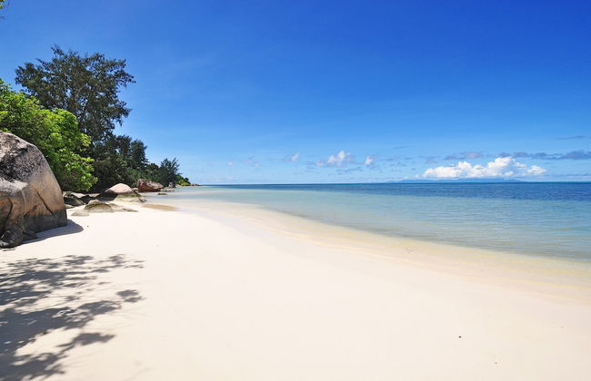 YASAD Luxury Beach Residence - Foto 75