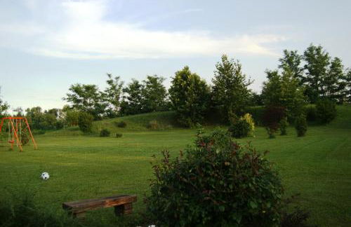 Agriturismo il Podere Vedelago con San Bernardo, Alpaca e una Pentola di cose da scoprire - Foto 49