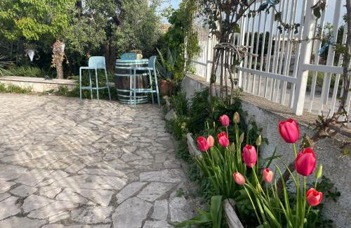 B&B Case Vacanza Orchidea marina di Macchia a Mattinata Gargano - Foto 58