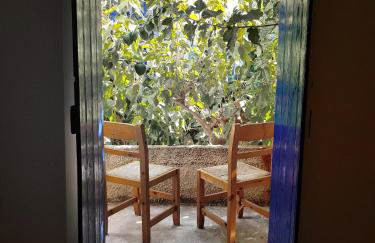 Paradise Studios - Foto 56