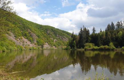 Ferienwohnung am Saarweg - Photo 21