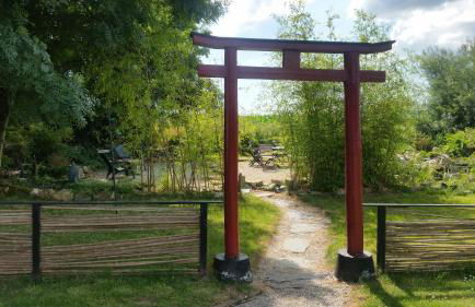 L'Effraie des Clochers - Foto 33