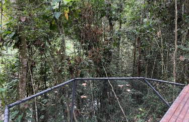 chalé 3 - guache - Foto 21