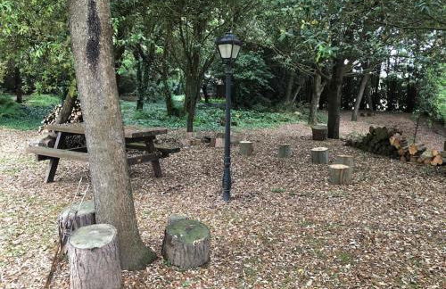 Cabaña de ensueño en el bosque y junto al mar - Foto 5