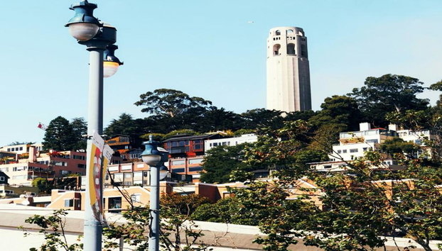 Coit Tower & Little Italy Landmark Walking Tour - Foto 2