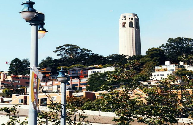 Coit Tower & Little Italy Landmark Walking Tour - Foto 2