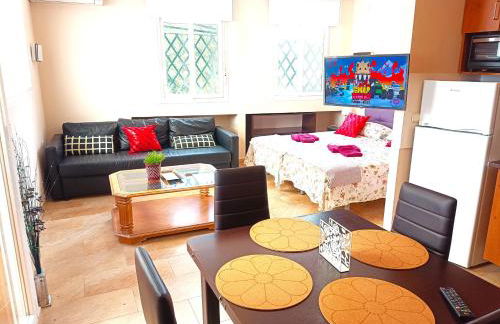 Flamencos del cerrado - Photo 21