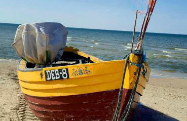 Bosko beztrosko - Foto 18