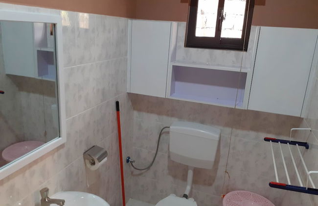 Max Garden and Pool - Photo 39