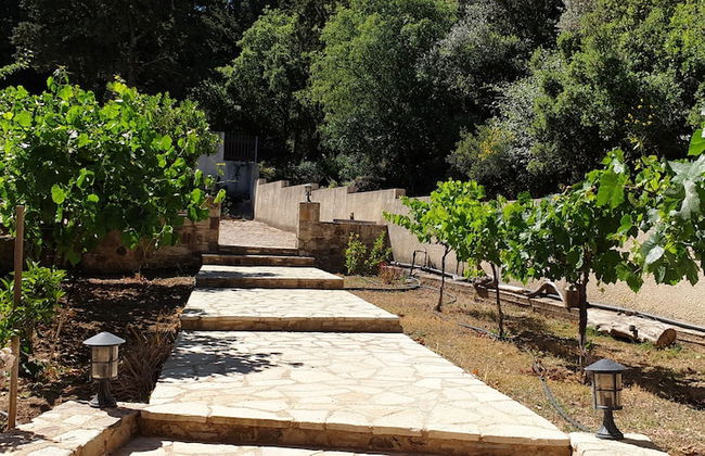 Chaihoutes stone villa into Olive farm in Zia - Foto 14